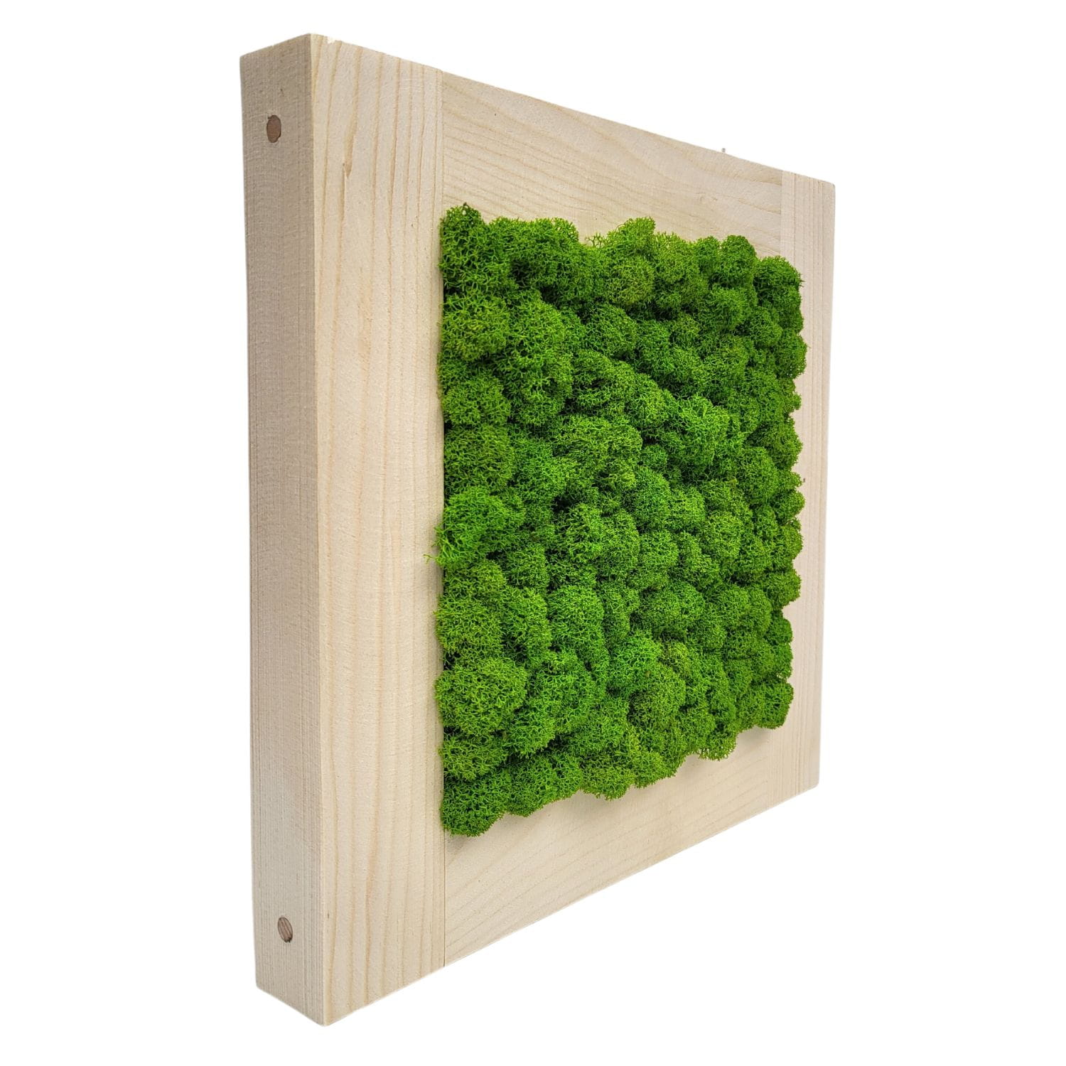 Mechový obraz v dřevěném přírodním rámu čtverec 30 x 30 cm