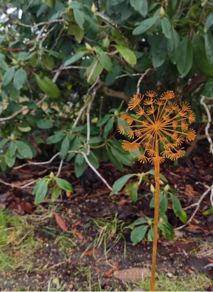 Kovový zápich do zahrady rezavý odkvetlá pampeliška 60 cm